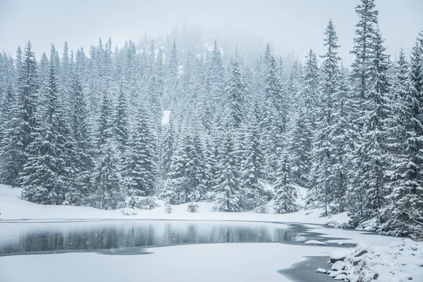 Güzel kış manzarası ile blizzard bir dağ gölü. Batı Tatra Dağları Slovakya