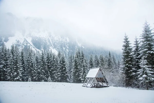 Krásná zimní lesní krajina s horami v dáli. Západních Tatrách na Slovensku — Stock fotografie