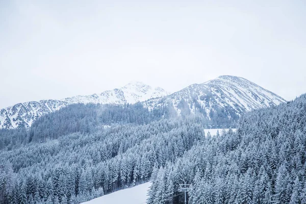 Een mooie winter-bos landschap met bergen in de verte. Westelijke Tatra mountains in Slowakije — Stockfoto