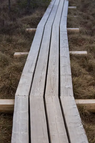 Güzel bir ahşap patika bir erken Bahar bataklık
