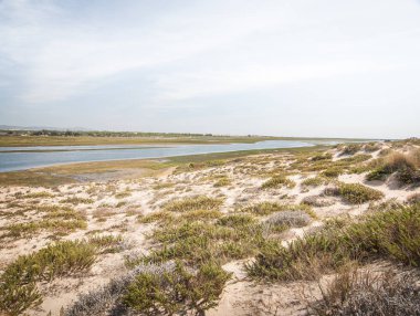 Portekiz güzel Atlantic beach