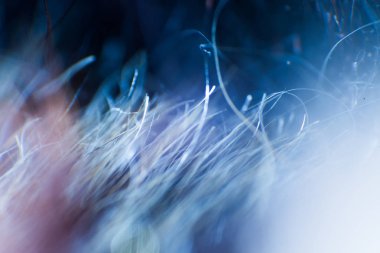 Soyut, renkli makro bir keçi kürk. Alan, sanatsal renkler, dekoratif bir görünüm sığ derinliği.