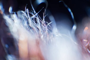 Soyut, renkli makro bir keçi kürk. Alan, sanatsal renkler, dekoratif bir görünüm sığ derinliği.