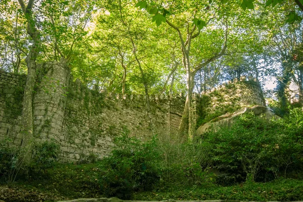 Sintra, Portekiz Park'ta güzel bir görünümü