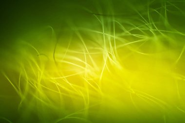 Soyut makro kürk yeşil tonlarında. Alan, sanatsal renkler, dekoratif bir görünüm sığ derinliği.