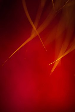 Soyut makro kürk kırmızı tonlarında. Alan, sanatsal renkler, dekoratif bir görünüm sığ derinliği.