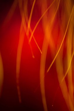 Soyut makro kürk kırmızı tonlarında. Alan, sanatsal renkler, dekoratif bir görünüm sığ derinliği.