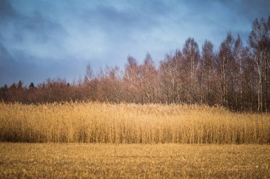 Bir göl, bir güzel erken Bahar yatay