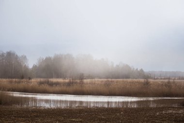 Bir göl, bir güzel erken Bahar yatay
