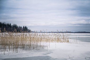 Bulutlu gün içinde donmuş bir göl ile huzurlu kış manzarası