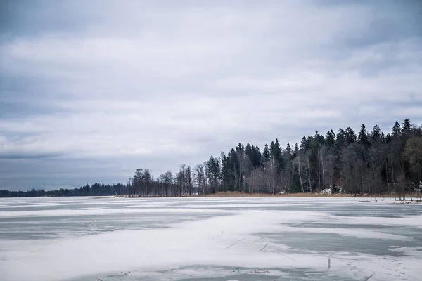 Un paisaje invernal tranquilo con un lago congelado en un día nublado — Foto de Stock