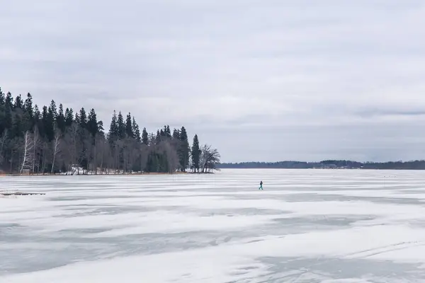 Eine friedliche Winterlandschaft mit einem zugefrorenen See bei bewölktem Tag — Stockfoto