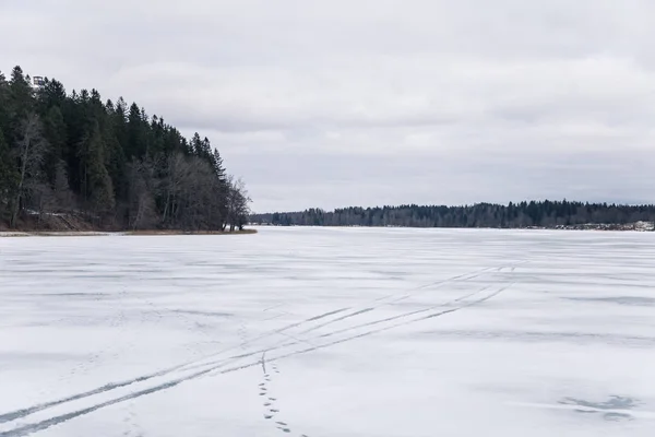 Eine friedliche Winterlandschaft mit einem zugefrorenen See bei bewölktem Tag — Stockfoto