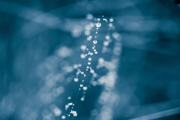 Sebuah indah, abstrak, monokrom dangkal kedalaman lapangan foto jaring laba-laba dengan tetesan air di pagi musim panas . — Stok Foto