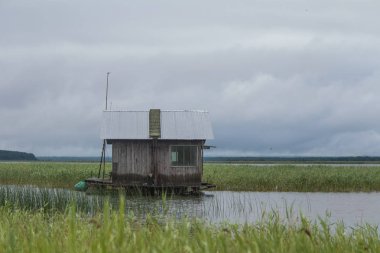 Evde bir göl çimenli kıyıları ile güzel bir manzara