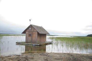 Evde bir göl çimenli kıyıları ile güzel bir manzara