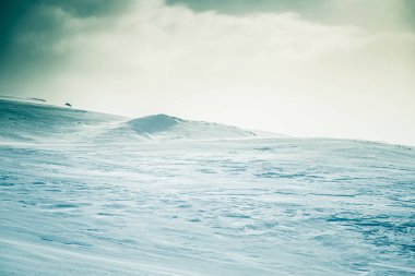 Snowy Norveç Hills güzel, minimalist bir manzara. Temiz, ışık, yüksek anahtar, dekoratif bir görünüm.