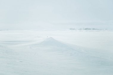Düz, karlı Norveç alan güzel, minimalist bir manzara. Temiz, ışık, yüksek anahtar, dekoratif bir görünüm.