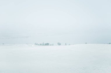 Düz, karlı Norveç alan güzel, minimalist bir manzara. Temiz, ışık, yüksek anahtar, dekoratif bir görünüm.