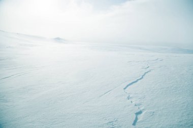 Düz, karlı Norveç alan güzel, minimalist bir manzara. Temiz, ışık, yüksek anahtar, dekoratif bir görünüm.