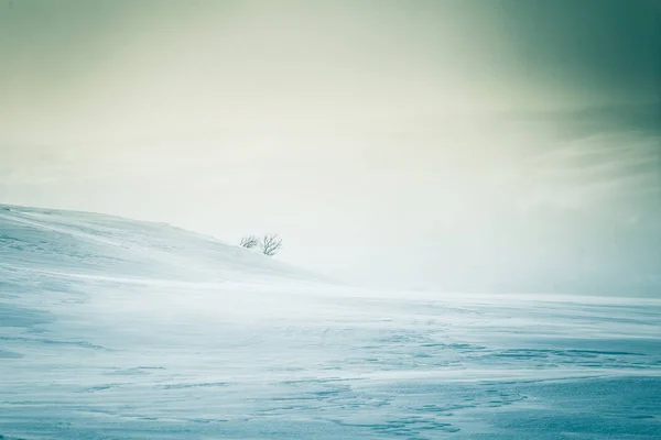 Un hermoso paisaje minimalista de colinas nevadas noruegas. Limpio, ligero, llave alta, aspecto decorativo . — Foto de Stock