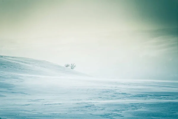 Uma bela paisagem minimalista de colinas norueguesas nevadas. Limpo, leve, chave alta, olhar decorativo . — Fotografia de Stock