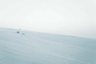 Düz, karlı Norveç alan güzel, minimalist bir manzara. Temiz, ışık, yüksek anahtar, dekoratif bir görünüm.