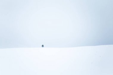 Düz, karlı Norveç alan güzel, minimalist bir manzara. Temiz, ışık, yüksek anahtar, dekoratif bir görünüm.