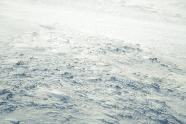 Güzel portre desen bir Norveç kış günü kar