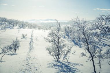 Snowy Norveç kış günü ayak izleri ile güzel bir beyaz manzara