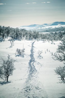 Snowy Norveç kış günü ayak izleri ile güzel bir beyaz manzara