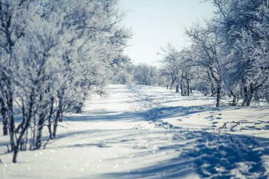 Snowy Norveç kış günü ayak izleri ile güzel bir beyaz manzara