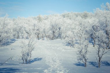 Snowy Norveç kış günü ayak izleri ile güzel bir beyaz manzara