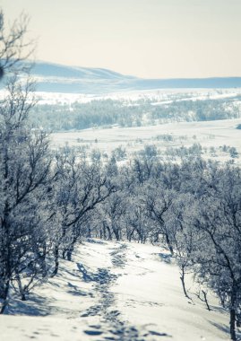 Snowy Norveç kış günü ayak izleri ile güzel bir beyaz manzara