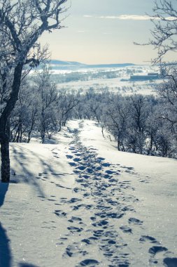 Snowy Norveç kış günü ayak izleri ile güzel bir beyaz manzara