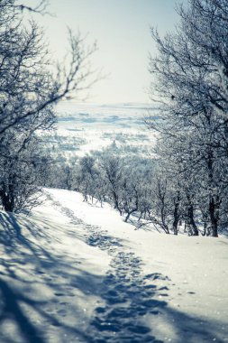 Snowy Norveç kış günü ayak izleri ile güzel bir beyaz manzara