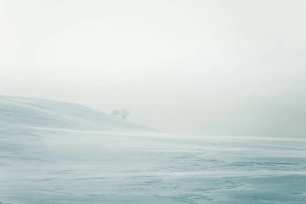 Uma bela paisagem minimalista de campo norueguês plano e nevado. Limpo, leve, chave alta, olhar decorativo . — Fotografia de Stock