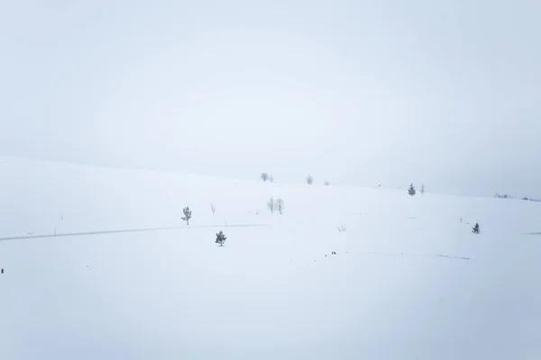 Piękne, minimalistycznym krajobraz płaski, snowy pola norweski. Czysty, lekki, high-key, dekoracyjny wygląd. — Zdjęcie stockowe