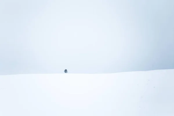 Un hermoso paisaje minimalista de campo noruego plano y nevado. Limpio, ligero, llave alta, aspecto decorativo . —  Fotos de Stock