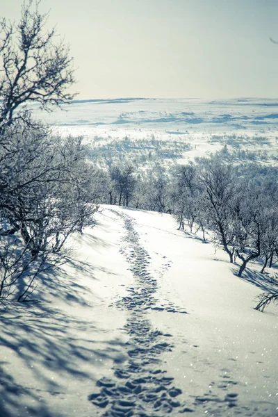 Snowy Norveç kış günü ayak izleri ile güzel bir beyaz manzara