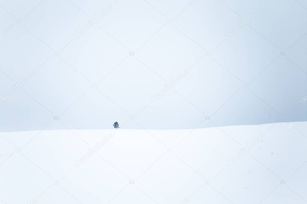 A beautiful, minimalist landscape of flat, snowy Norwegian field. Clean, light, high key, decorative look.