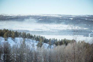 Snowy Norveç kış günü bir güzel orman manzara