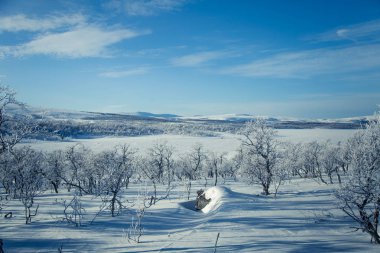 Snowy Norveç kış günü bir güzel orman manzara