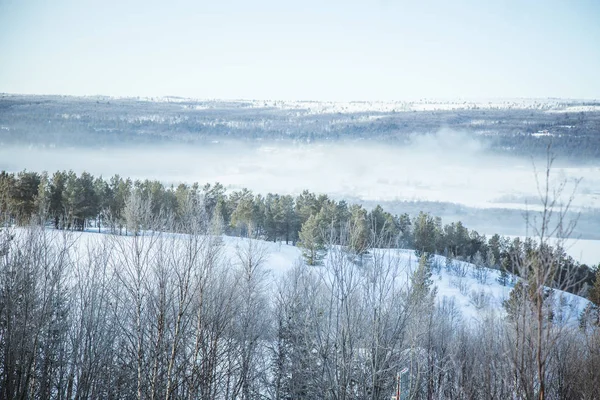 Eine wunderschöne Waldlandschaft an einem verschneiten norwegischen Wintertag — Stockfoto