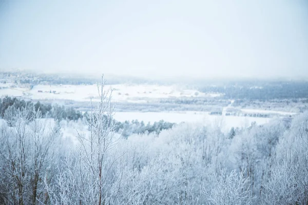 Eine wunderschöne Waldlandschaft an einem verschneiten norwegischen Wintertag — Stockfoto