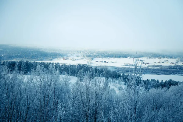 Snowy Norveç kış günü bir güzel orman manzara — Stok fotoğraf