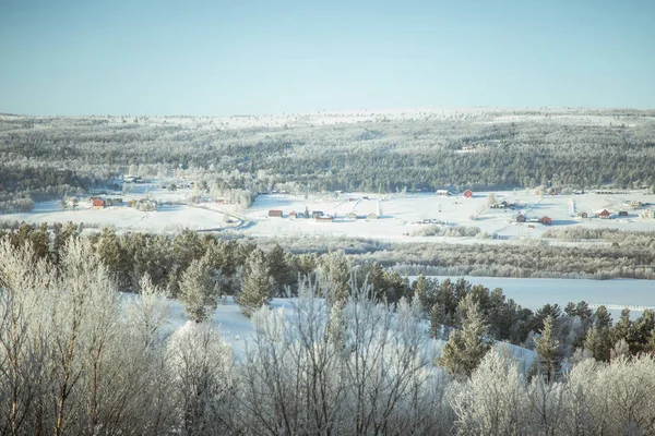 Eine wunderschöne Waldlandschaft an einem verschneiten norwegischen Wintertag — Stockfoto