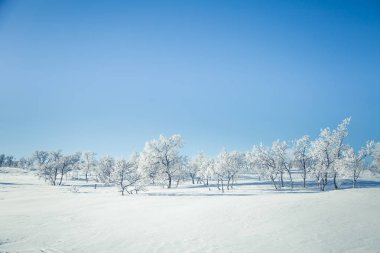 Donmuş Plains'de snowy Norveç kış günü güzel bir manzara