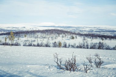 Donmuş Plains'de snowy Norveç kış günü güzel bir manzara