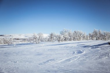 Donmuş Plains'de snowy Norveç kış günü güzel bir manzara